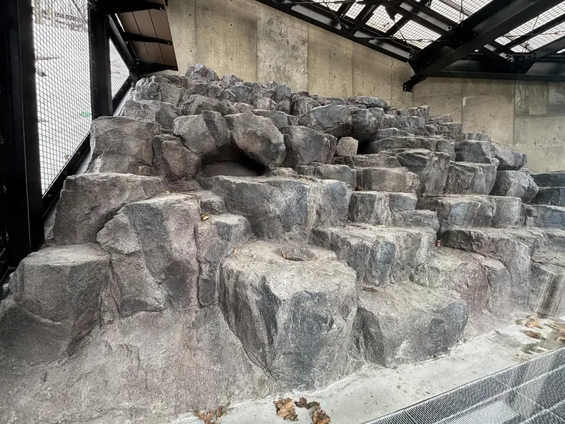 Фотография с манулом в Зоопарке Асахияма