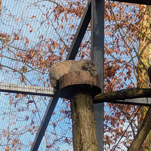 Фотография Мануэля в Гданском Зоопарке