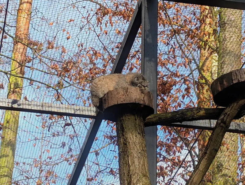 Фотография Мануэля в Гданском Зоопарке