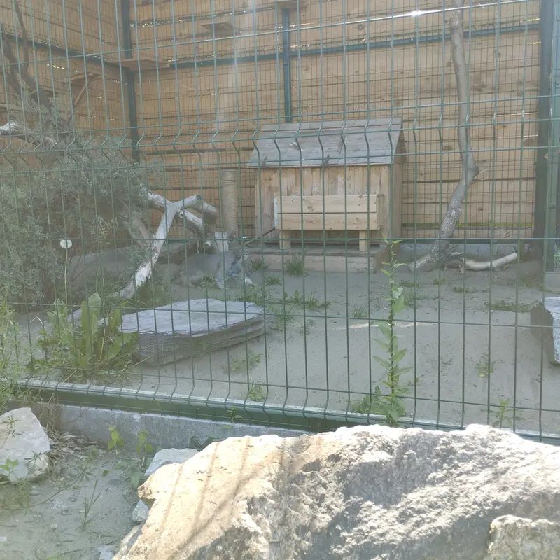 Фотография Пепе в Барнаульском Зоопарке «Лесная сказка»