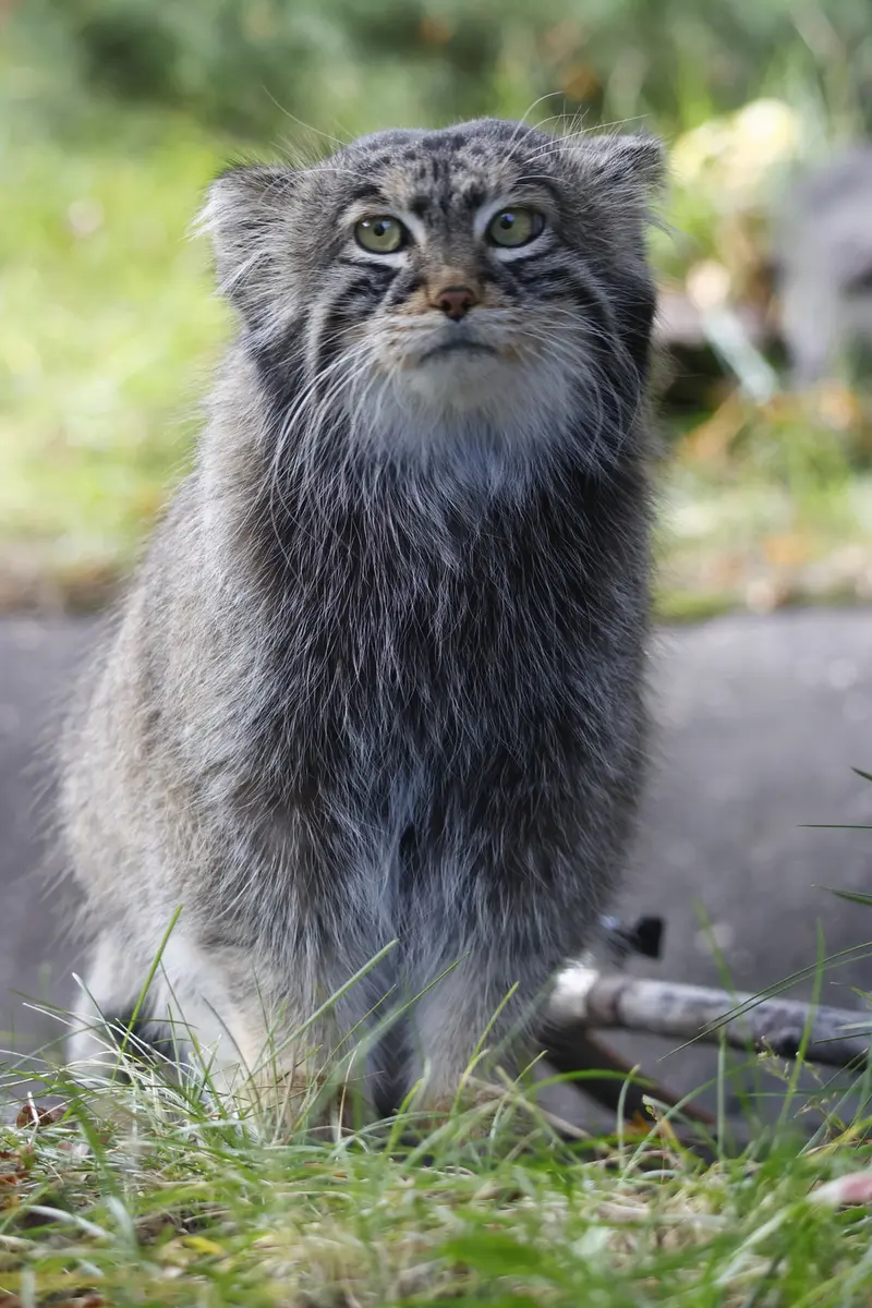 Фотография Тимофея в Московском Зоопарке