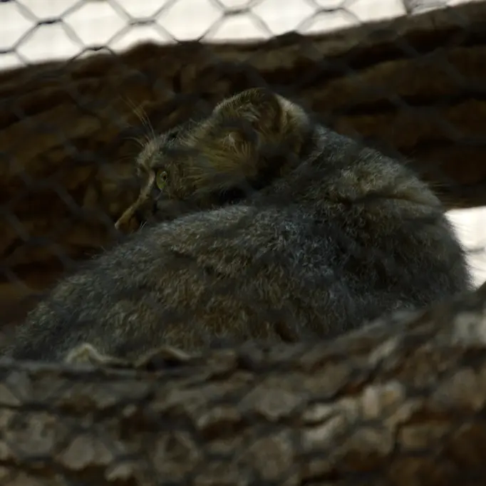 Фотография Таши в Зоопарке Великих равнин