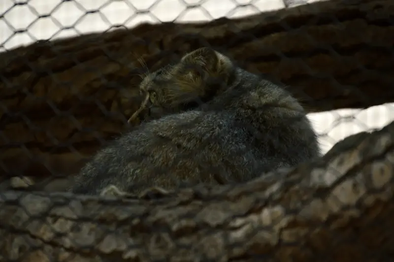 Фотография Таши в Зоопарке Великих равнин