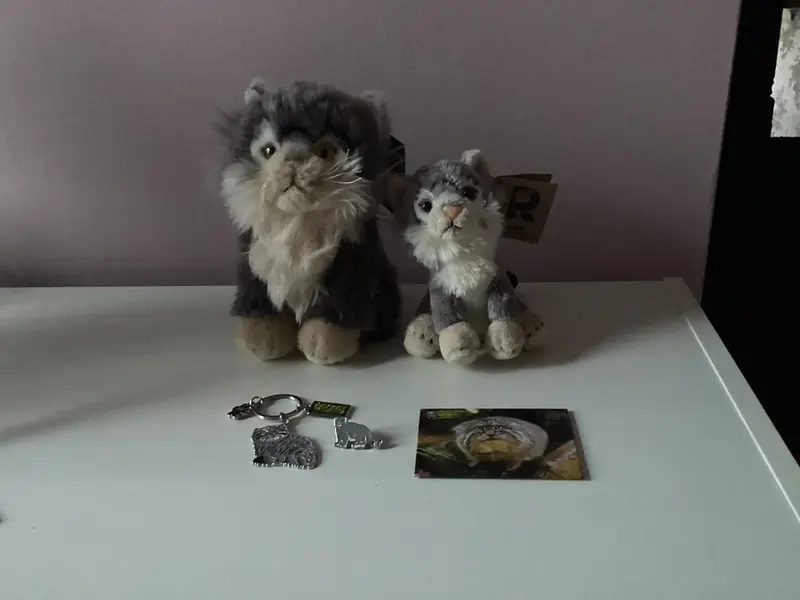 Фотография с манулом