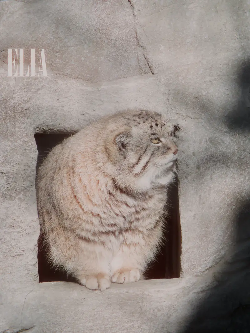 Фотография Олафа в Зоопарке Калгари / Институте Уайлдере