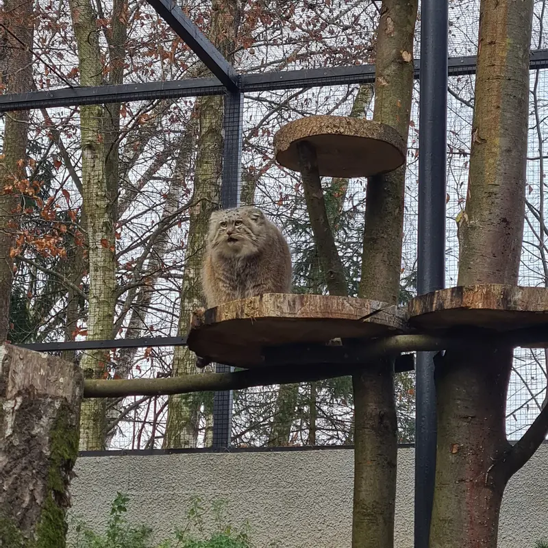 Фотография Мануэля в Гданском Зоопарке