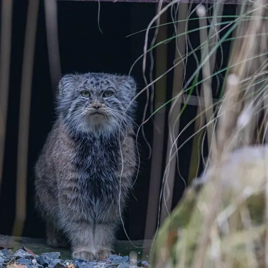 Фотография Мойры в Остравском Зоопарке