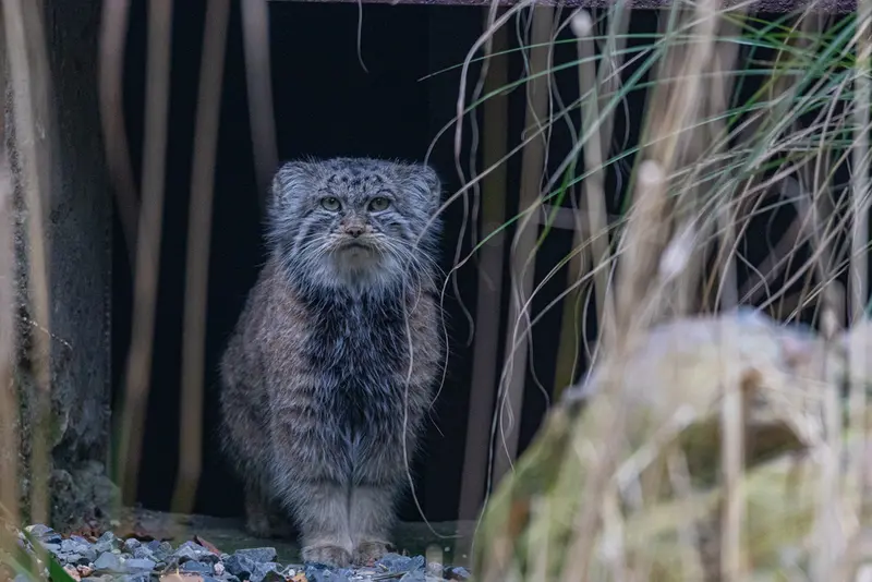 Фотография Мойры в Остравском Зоопарке