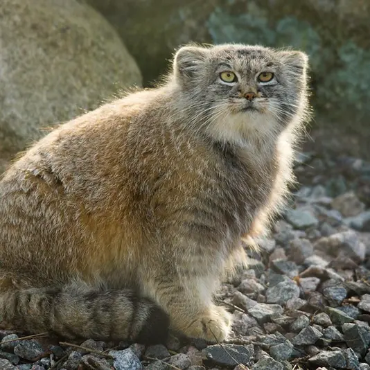 Фотография Агнеты в Зоопарке Паркен