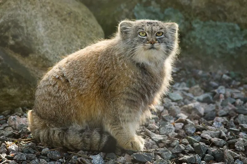 Фотография Агнеты в Зоопарке Паркен