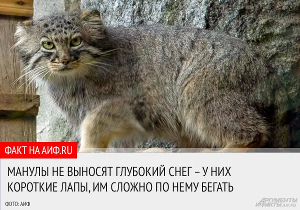 Фотография Варвары в Московском зоопарке