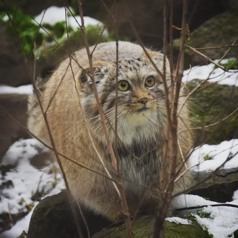 Фотография Люси в Будапештском Зоопарке