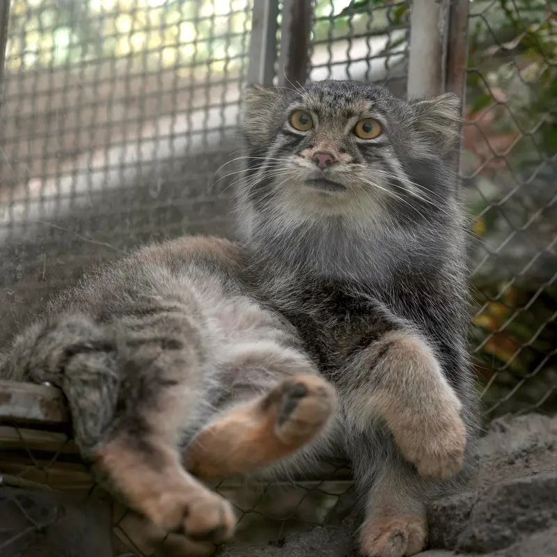 Фотография Ото в Царстве Животных Кобе