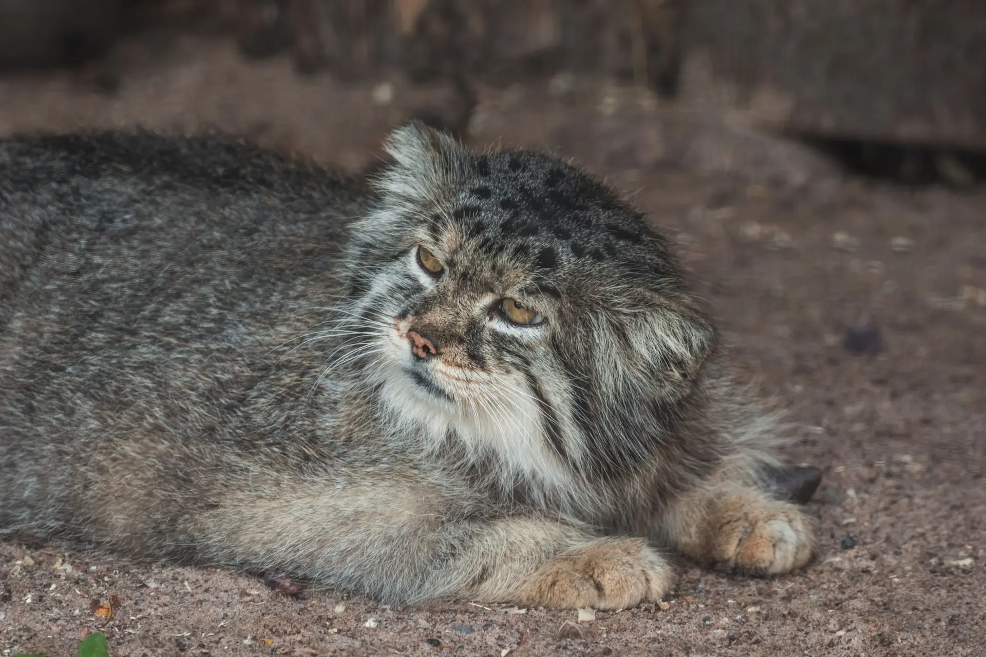 iDb8hWdhDx1sUk6I_mw-1920.webp