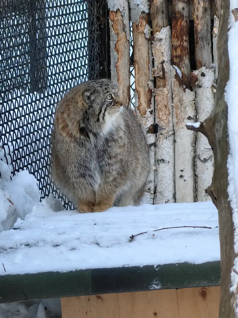 Фотография Евы в Новосибирском Зоопарке