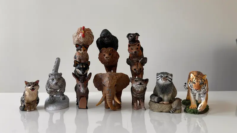 Фотография с манулом