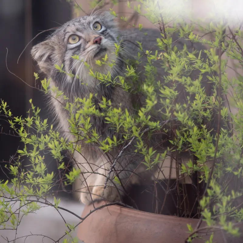Фотография Ото в Детском зоопарке Сайтама