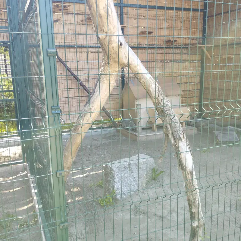 Фотография Чипа в Барнаульском Зоопарке «Лесная сказка»