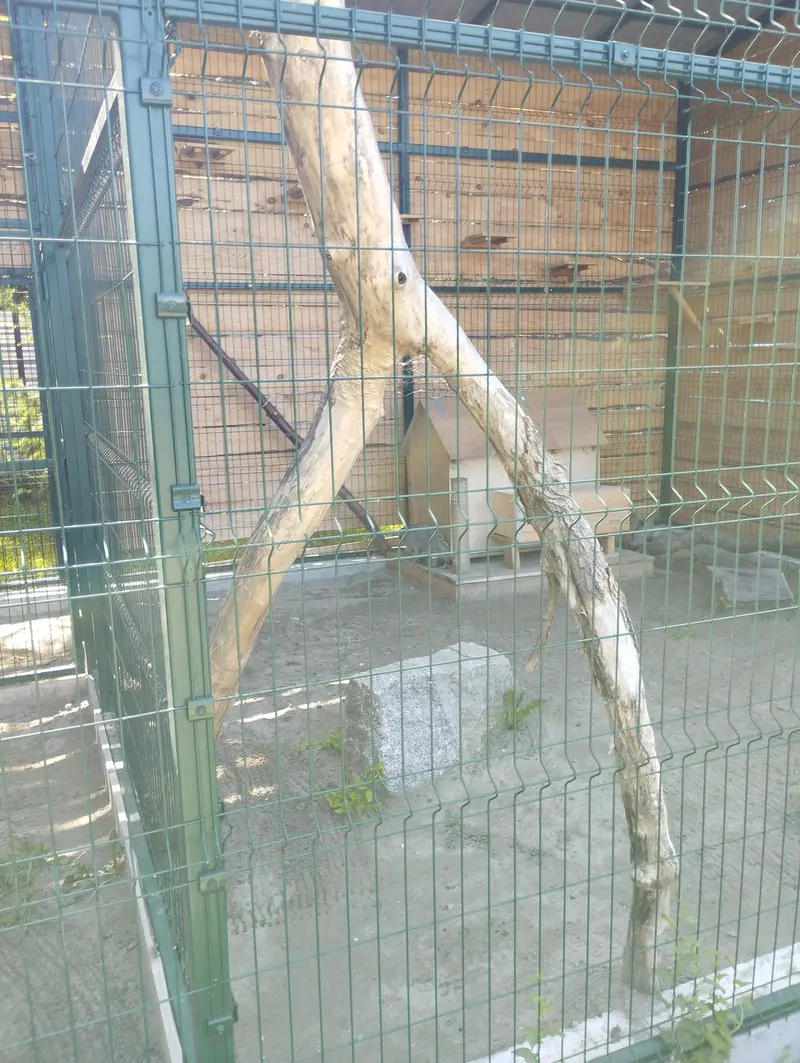 Фотография Чипа в Барнаульском Зоопарке «Лесная сказка»