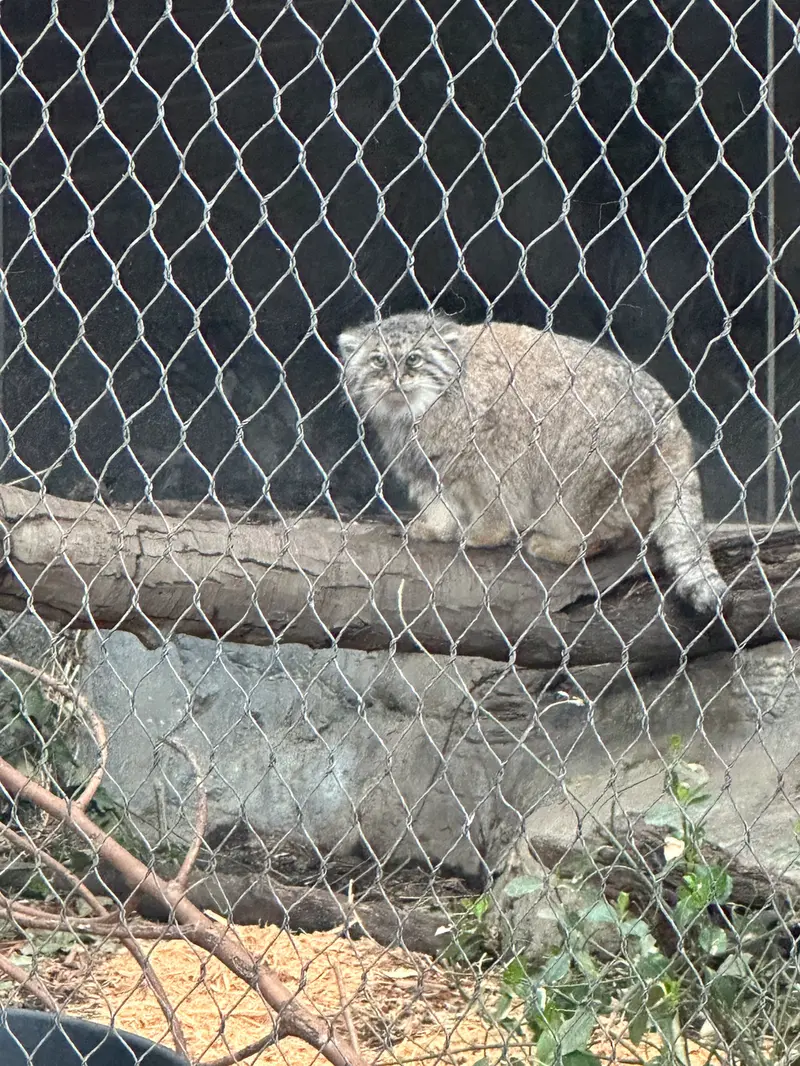 Фотография Сарнай в Зоопарке Проспект-парка