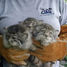 Фотография Эльвиры и Тима в Зоопарке Красная река