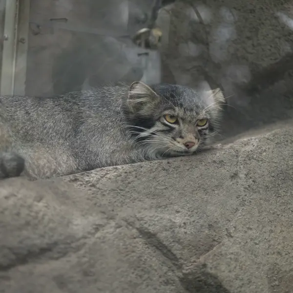 Фотография Ото в Царстве Животных Кобе