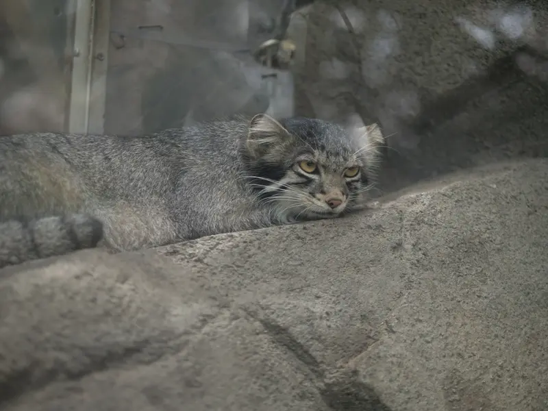 Фотография Ото в Царстве Животных Кобе