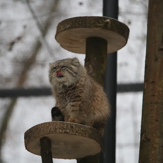 Фотография Мануэля в Гданском Зоопарке