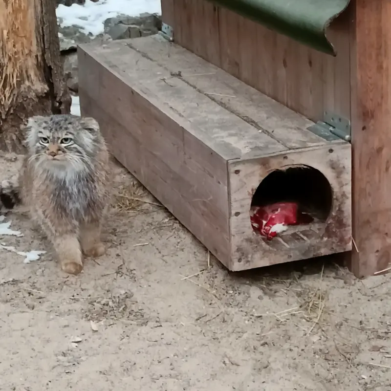 Фотография Габи в Новосибирском Зоопарке