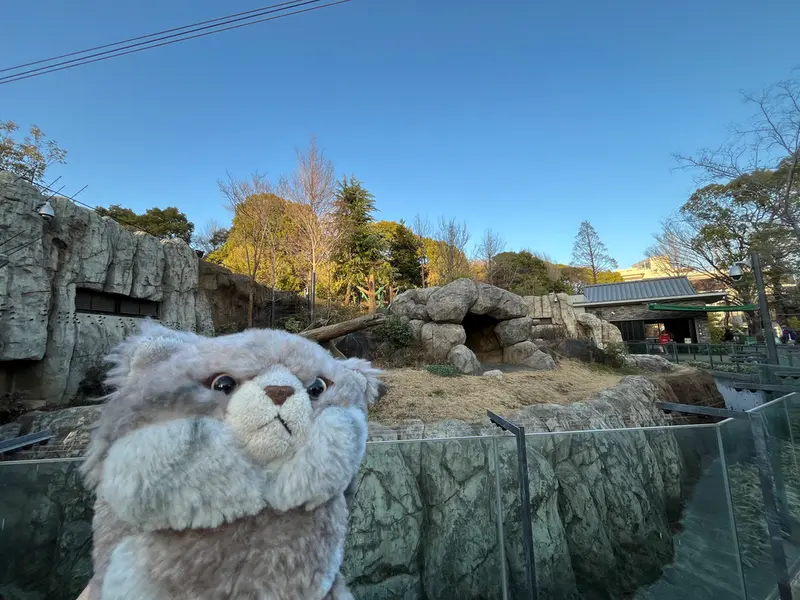 Фотография с манулом