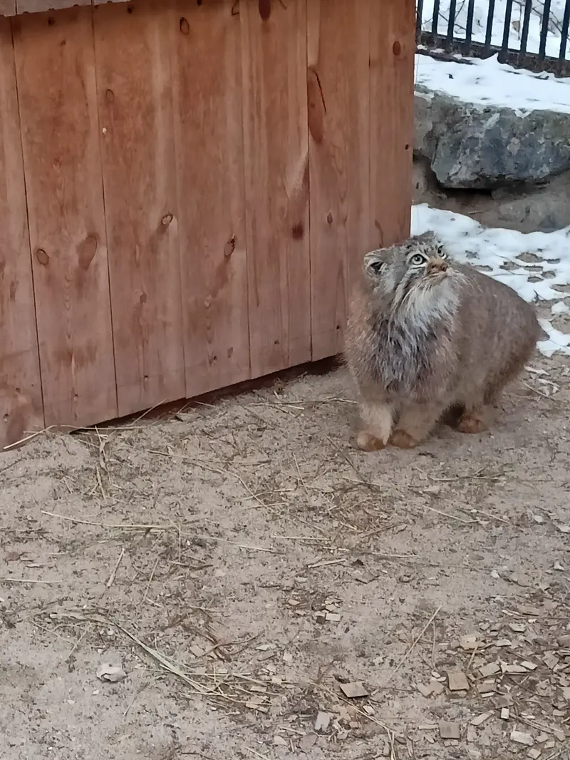 Фотография Габи в Новосибирском Зоопарке
