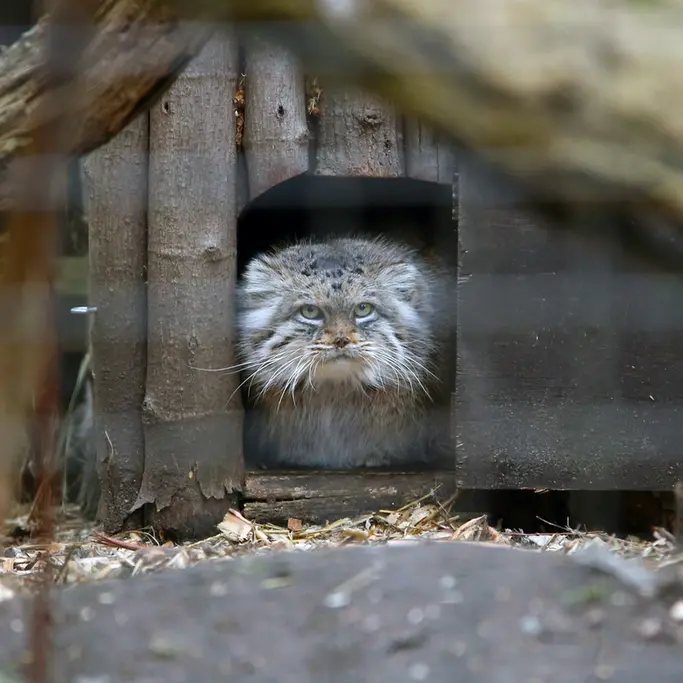 Фотография Джесси в Варшавском Зоопарке