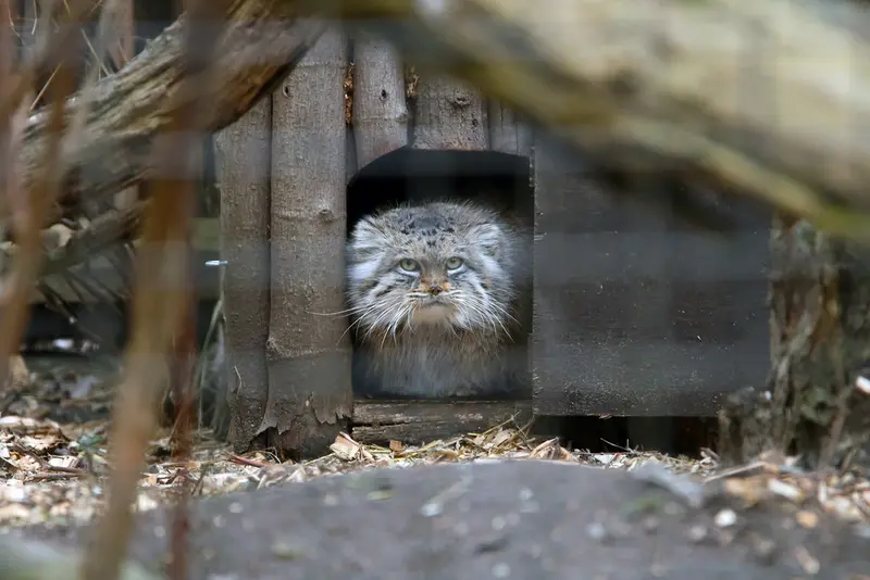 Фотография Джесси в Варшавском Зоопарке