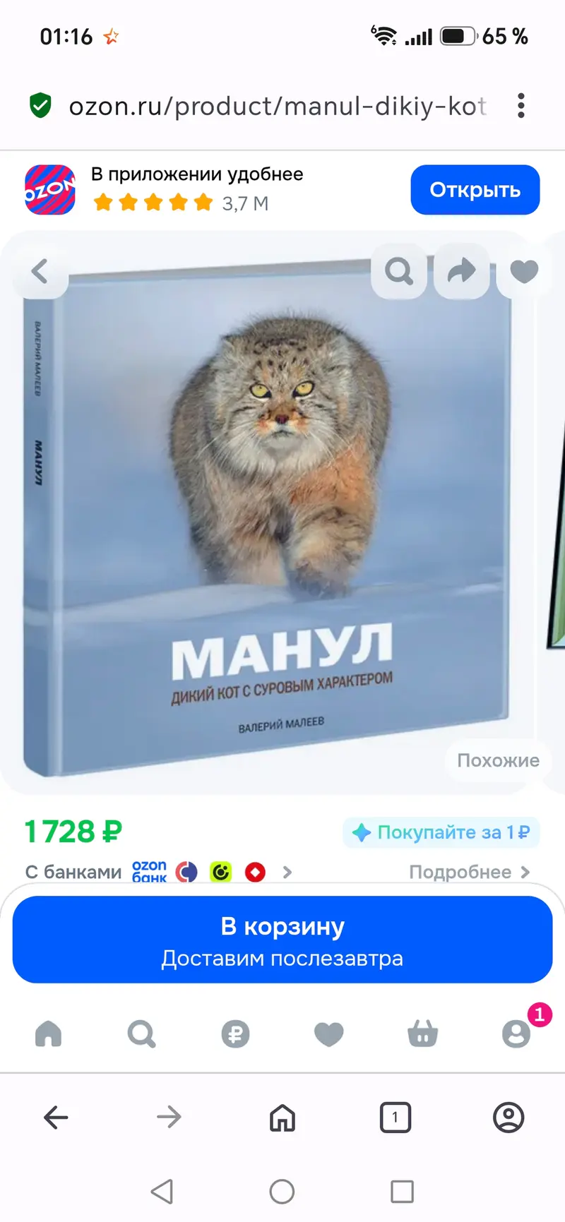 Фотография с манулом