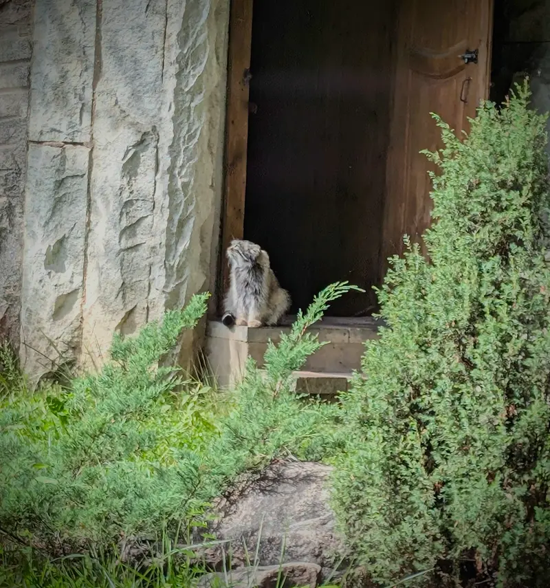 Фотография Тимофея в Московском Зоопарке