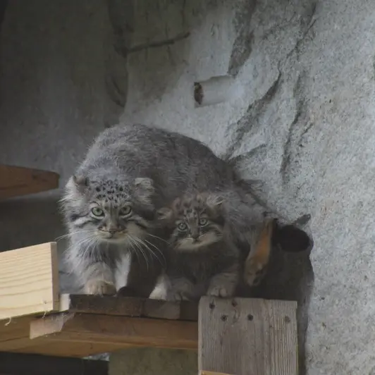 Фотография Варвары и Дарлая в Московском Зоопарке
