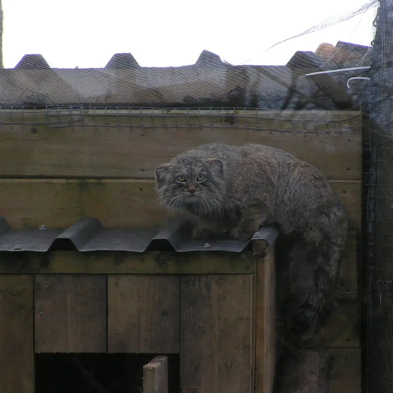 Фотография Алтая в Лэйклэнде Вайлдлайф Оазисе