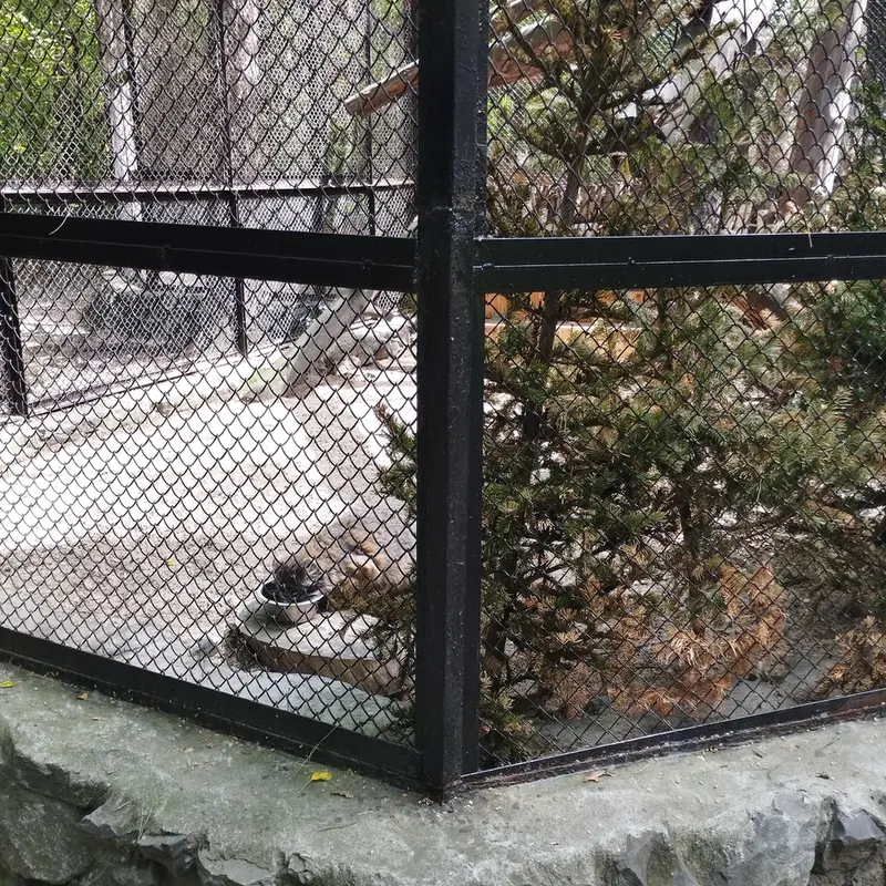 Фотография Зеленогорска в Новосибирском Зоопарке