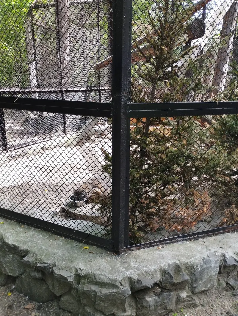 Фотография Зеленогорска в Новосибирском Зоопарке