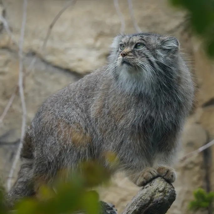 Фотография Полли в Царстве Животных Насу