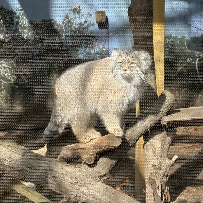 Фотография Пази в Зоопарке Поттер-парка