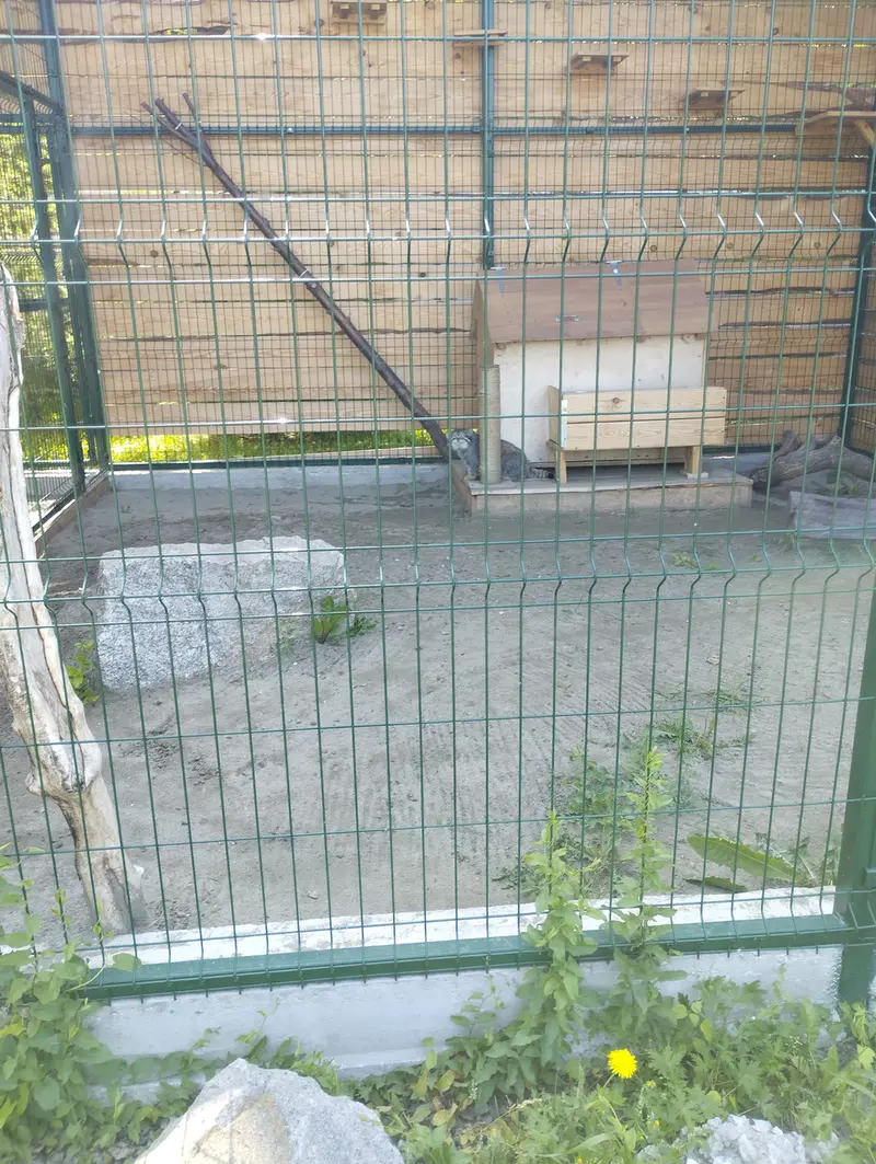 Фотография Чипа в Барнаульском Зоопарке «Лесная сказка»