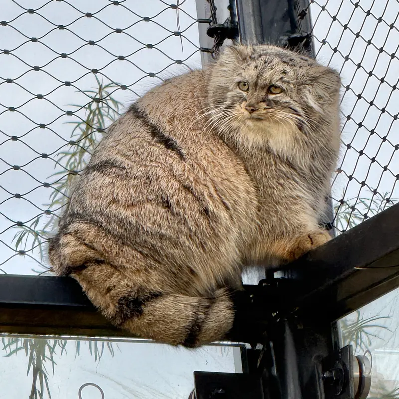 Фотография Принцессы в Пражском Зоопарке