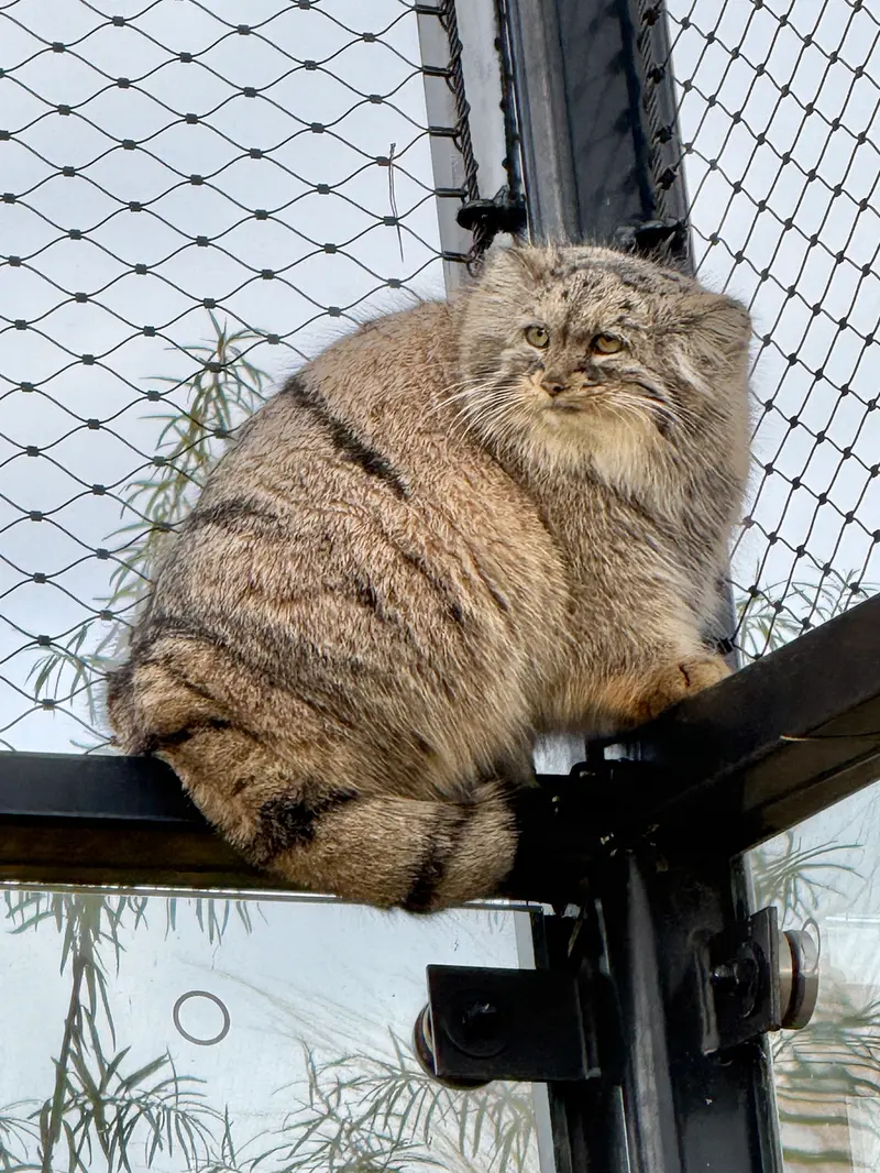 Фотография Принцессы в Пражском Зоопарке