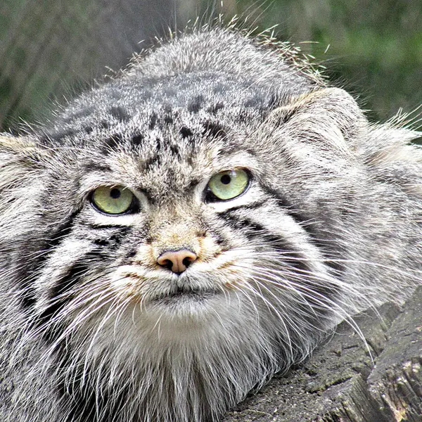Фотография Димы в Новосибирском Зоопарке