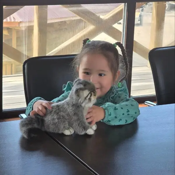 Фотография с манулом