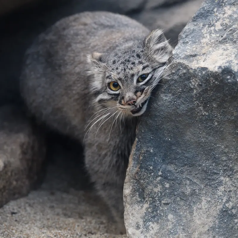 Фотография Мей в Царстве Животных Кобе