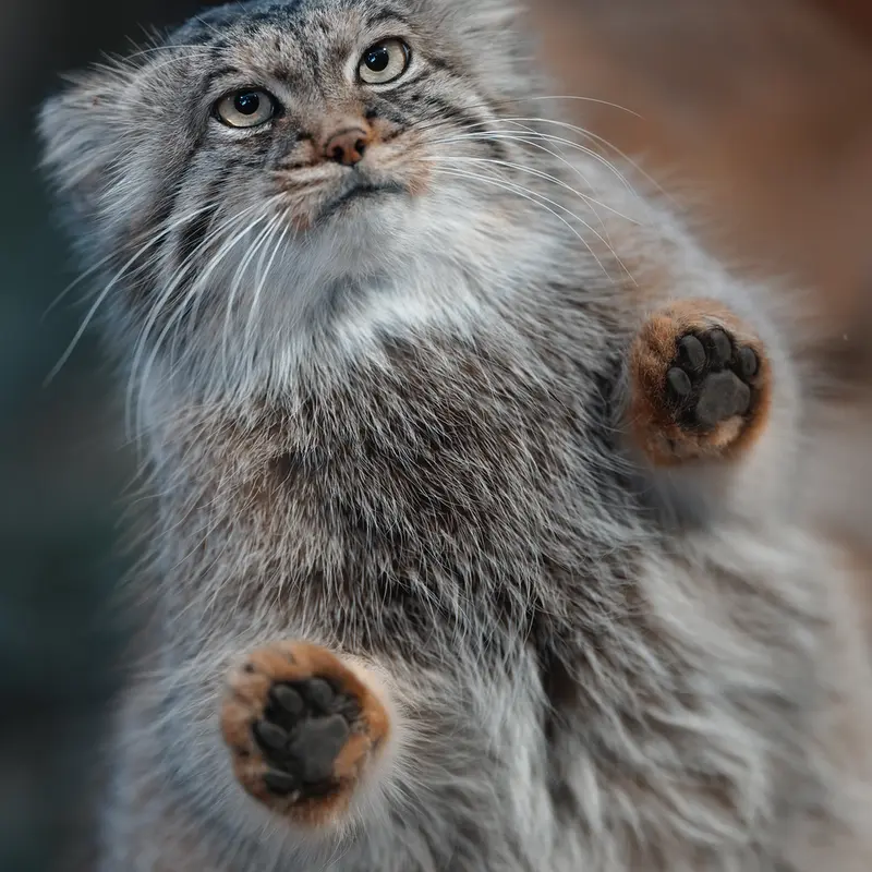 Фотография Полли в Царстве Животных Насу