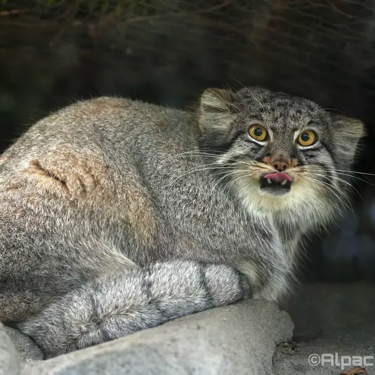 Фотография Мей в Царстве Животных Кобе