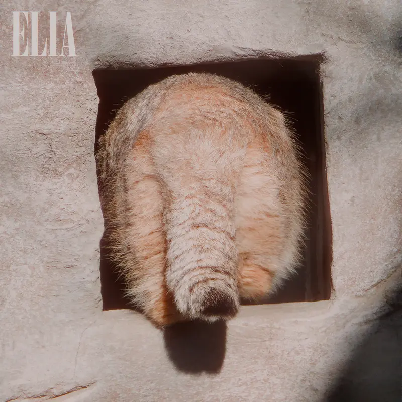 Фотография Олафа в Зоопарке Калгари / Институте Уайлдере